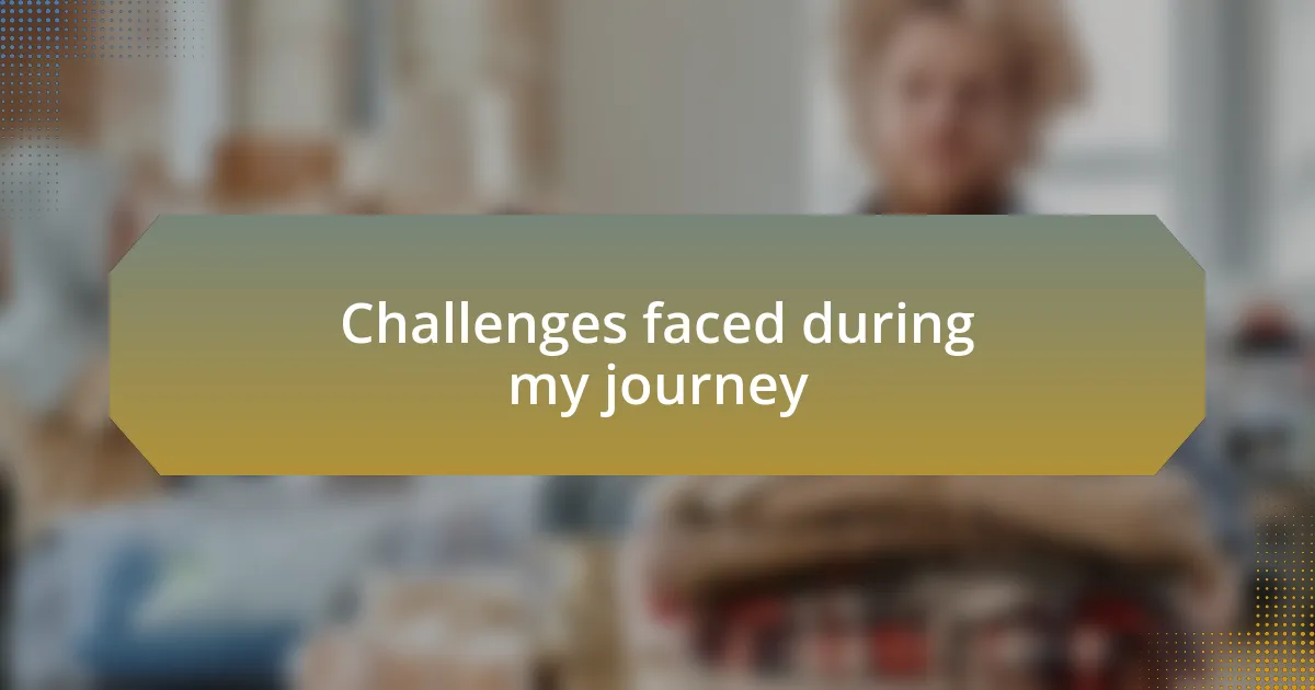 Challenges faced during my journey