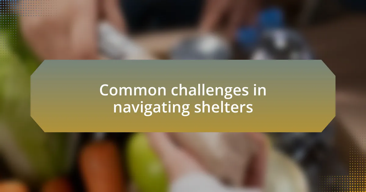 Common challenges in navigating shelters