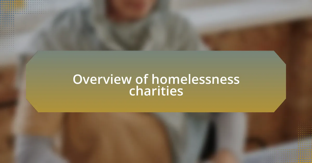 Overview of homelessness charities