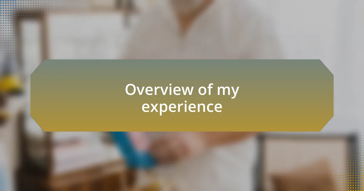 Overview of my experience